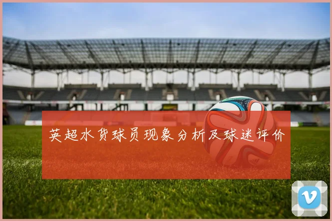 英超水货球员现象分析及球迷评价