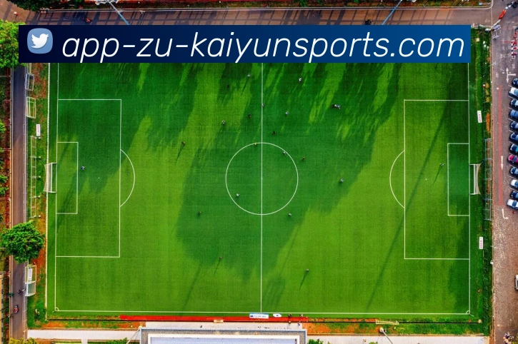 开云体育服务体系