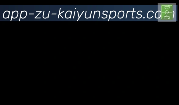 开云APP合作伙伴